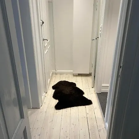 Lejlighed I Vesterbro- Dybbolsgade Apartment *