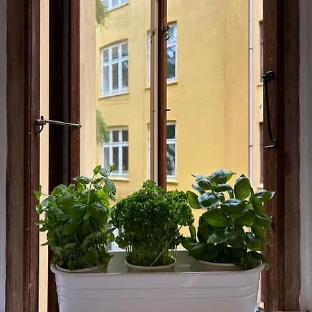 Apartment Lejlighed I Vesterbro- Dybbolsgade Copenhagen